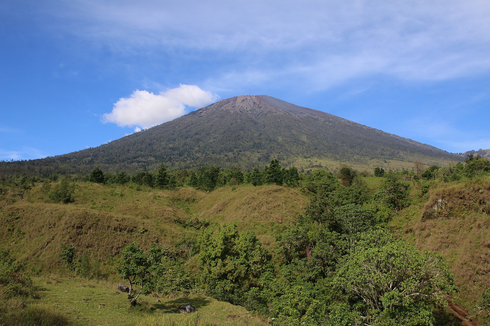 Rinjani from the Sembalun trail
