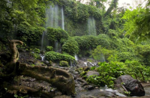 benang-kelambu-waterfall1